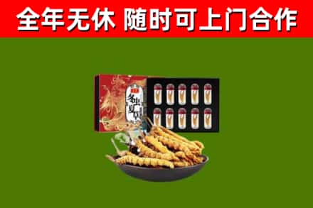 八宿县回收冬虫夏草价格